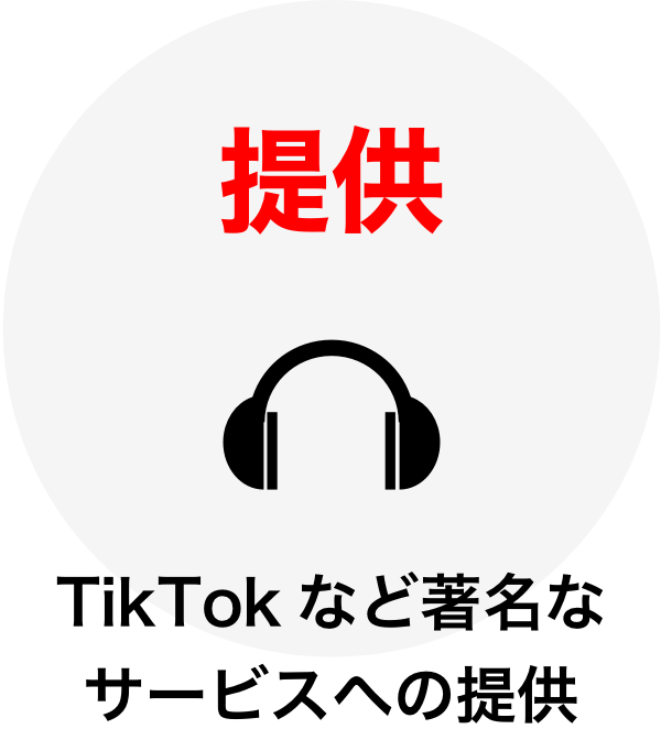 提供：TikTokなど著名なサービスへの提供