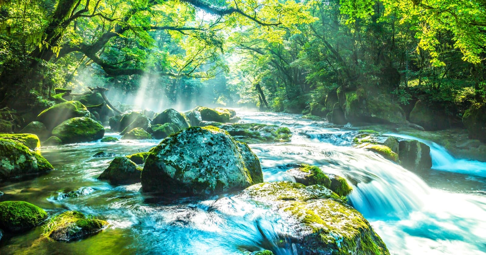 写真: 日本の渓流