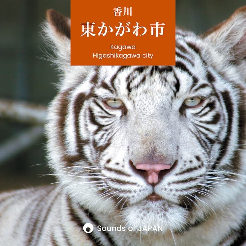 Sounds of JAPAN 東かがわ市のジャケット画像