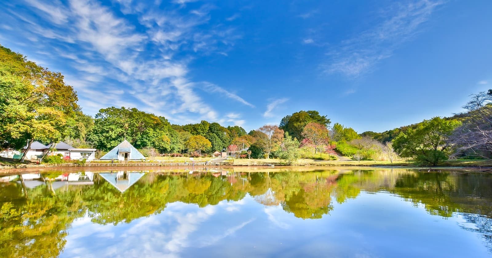 写真: 水海道あすなろの里の池