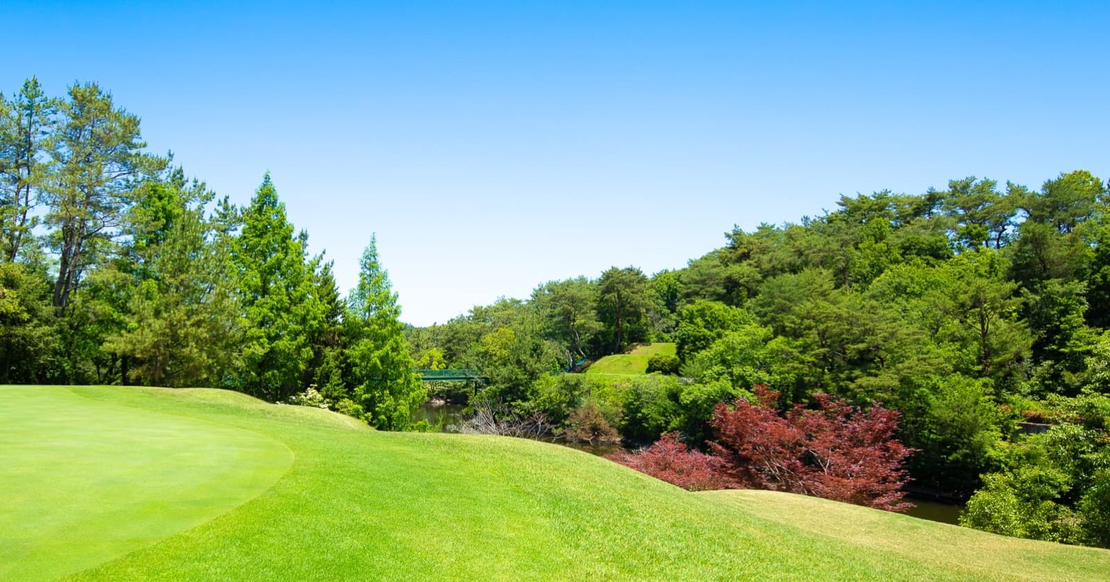 写真: 三木市のゴルフ場