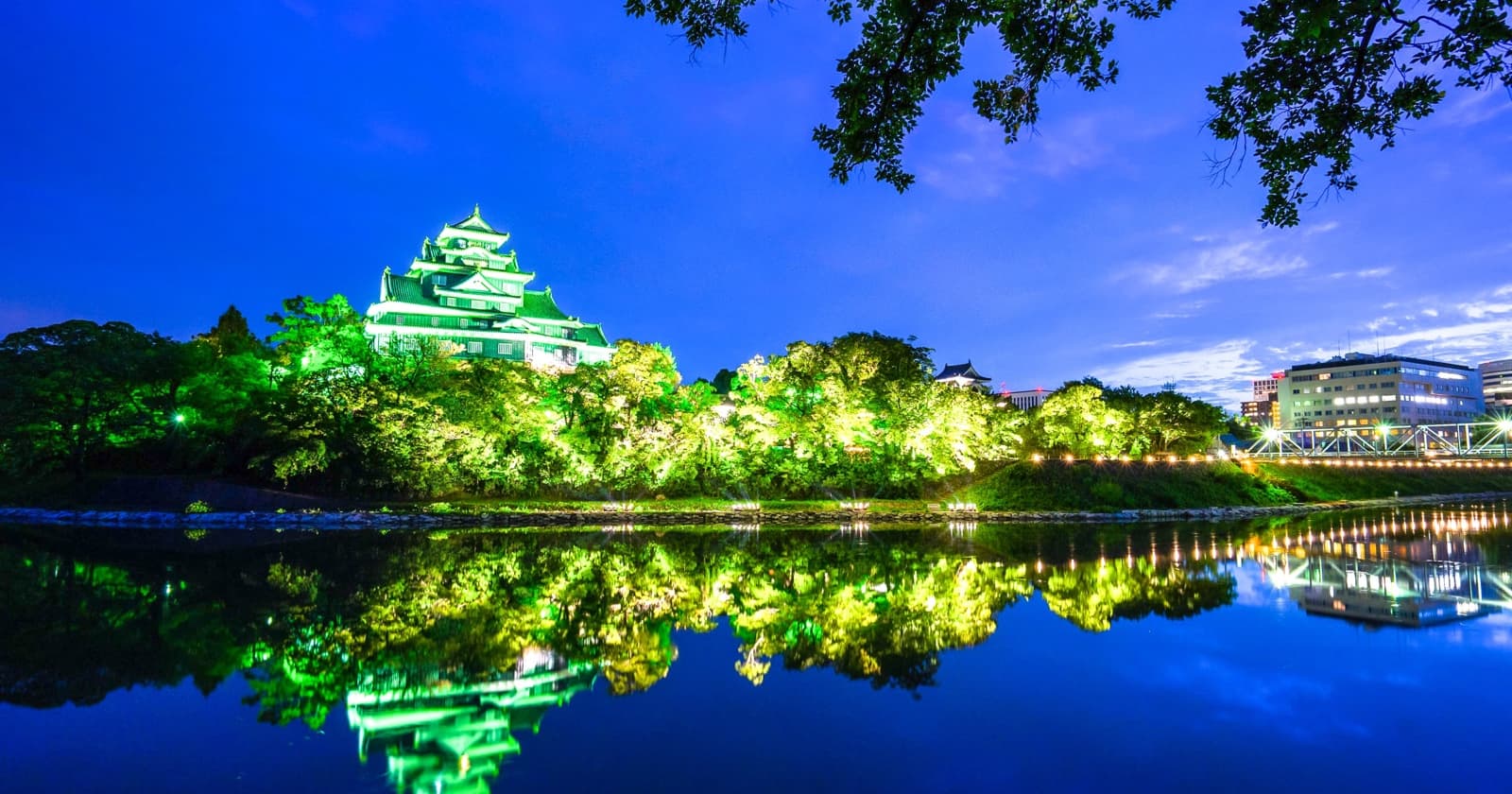 写真: 岡山県の夜の岡山城