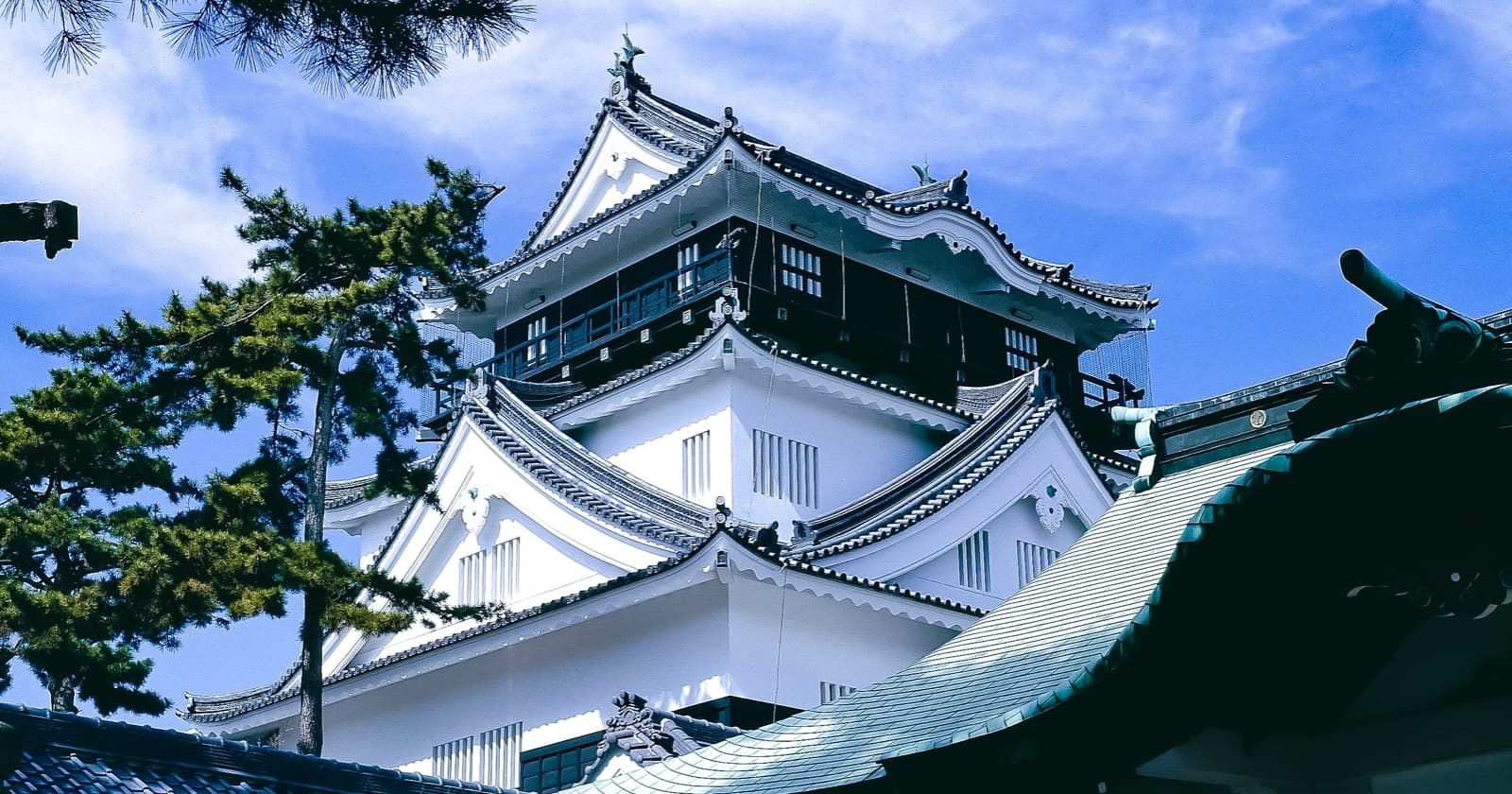 写真: 岡崎城