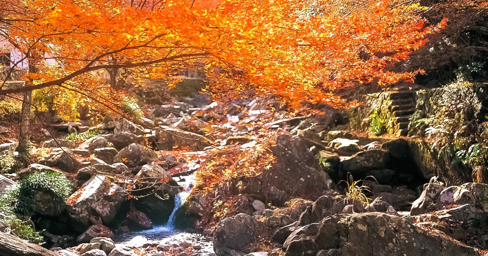 写真: くらがり渓谷