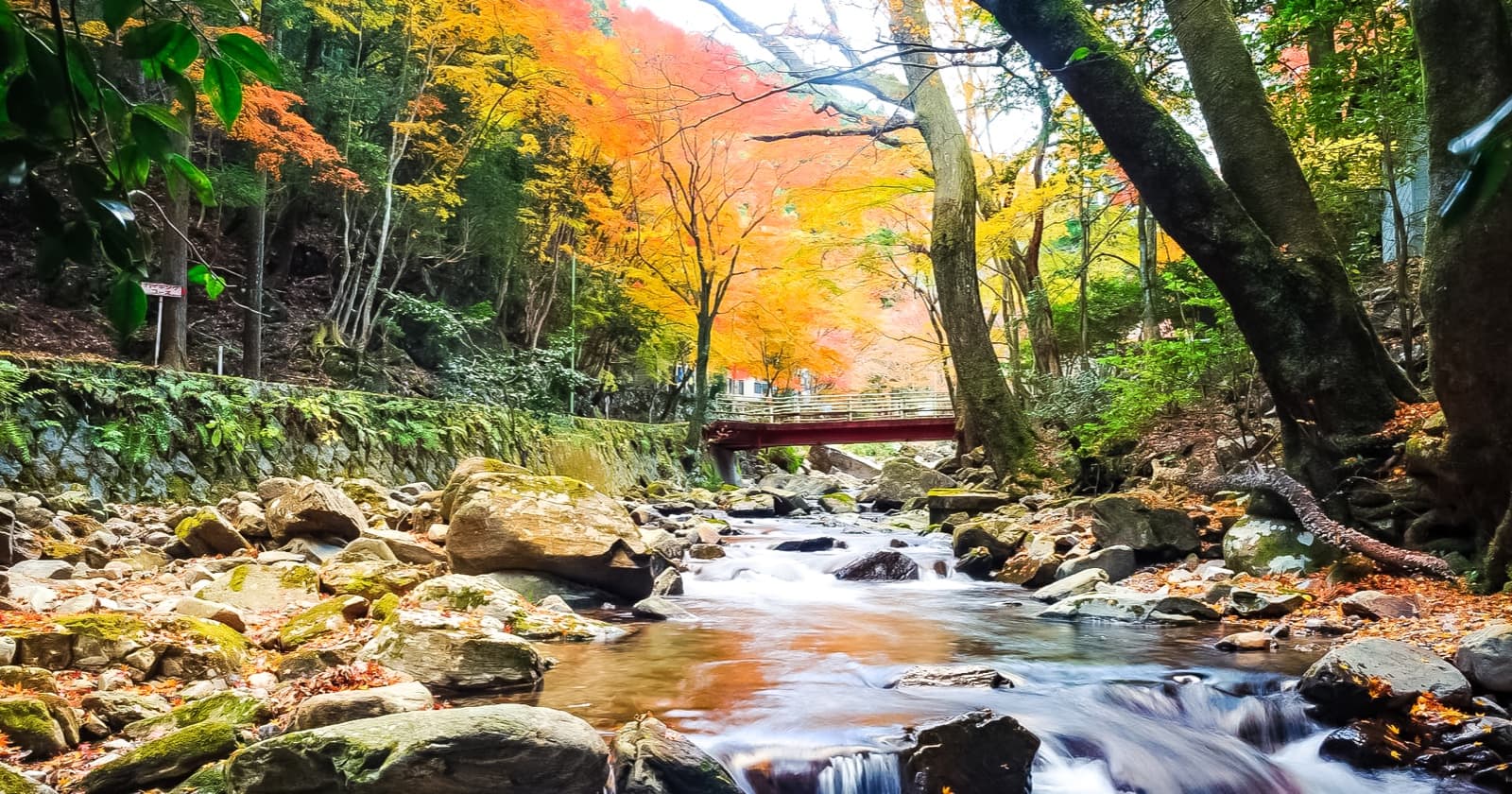 写真: くらがり渓谷